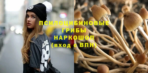 mdpv Баксан