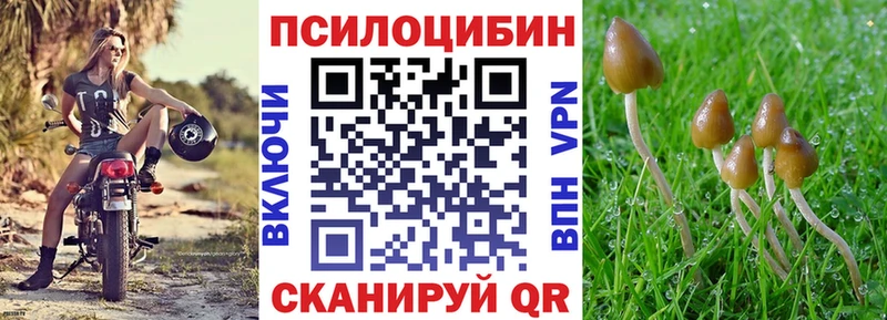 Псилоцибиновые грибы Psilocybe  магазин  наркотиков  Сухиничи 